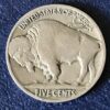 1929 buffalo nickel