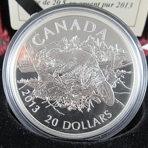 $20 Canada 2013 Silver Coin